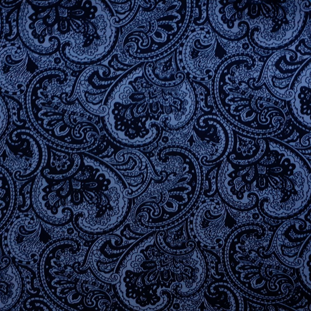 Paisley Style