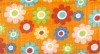 cassovia jelly roll pack - colourful flowers