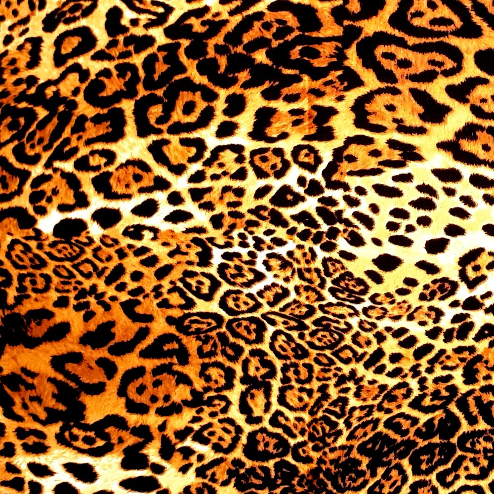 Leopard Or Lynx Cotton Fabric