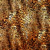 leopard large