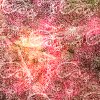 100% Cotton Red Paisley Batik Design - Clearance 112cm x 100cm